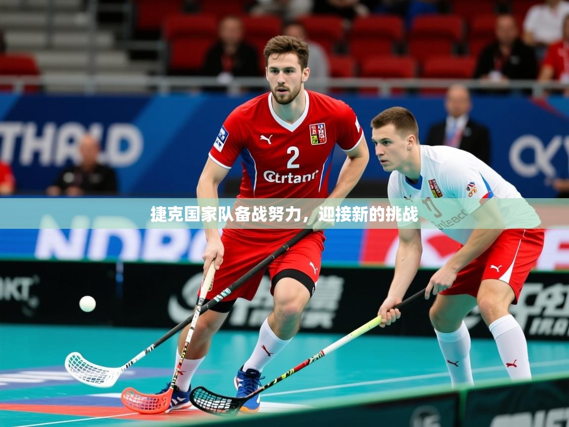 2025ued体育网页版捷克国家队备战努力，迎接新的挑战